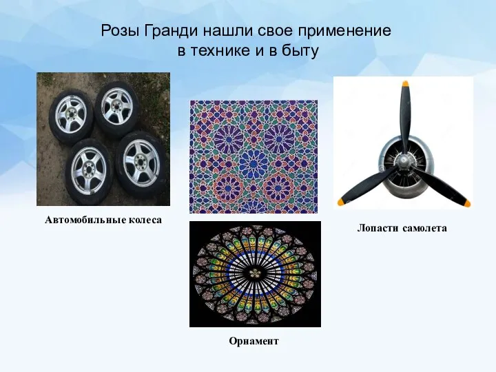 Розы Гранди нашли свое применение в технике и в быту Лопасти самолета Орнамент Автомобильные колеса