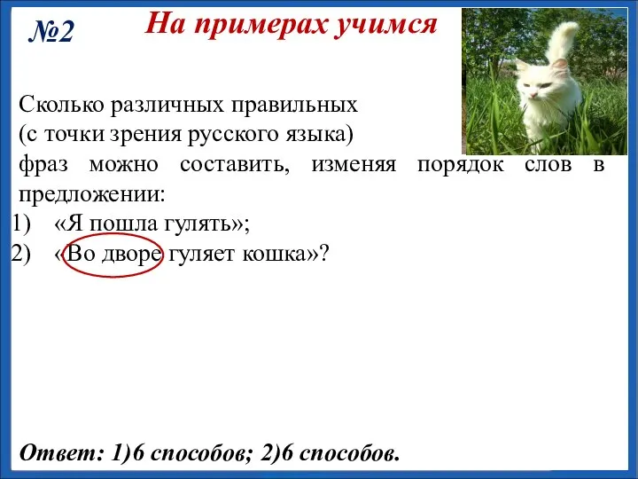 На примерах учимся №2 Сколько различных правильных (с точки зрения русского