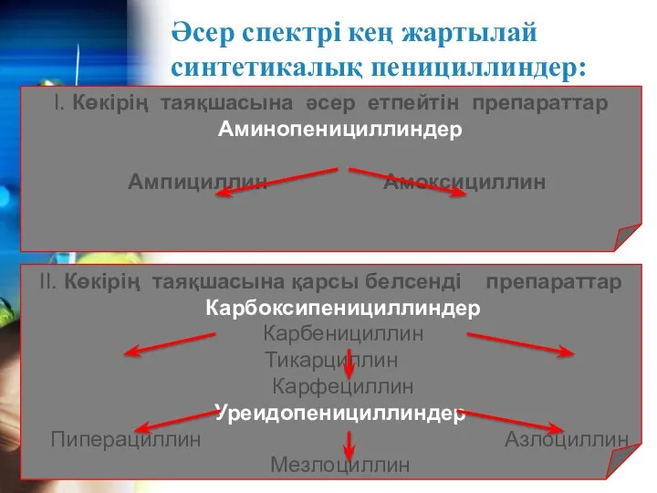 Әсер спектрі кең жартылай синтетикалық пенициллиндер: І. Көкірің таяқшасына әсер етпейтін