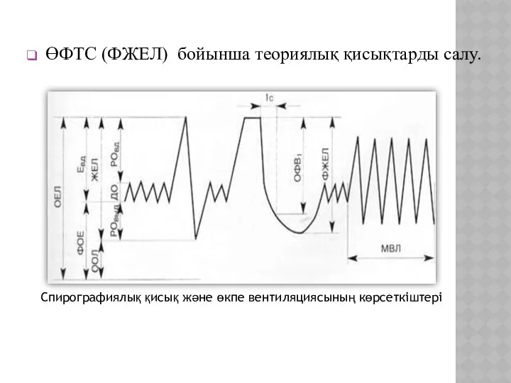 ӨФТС (ФЖЕЛ) бойынша теориялық қисықтарды салу. Спирографиялық қисық және өкпе вентиляциясының көрсеткіштері