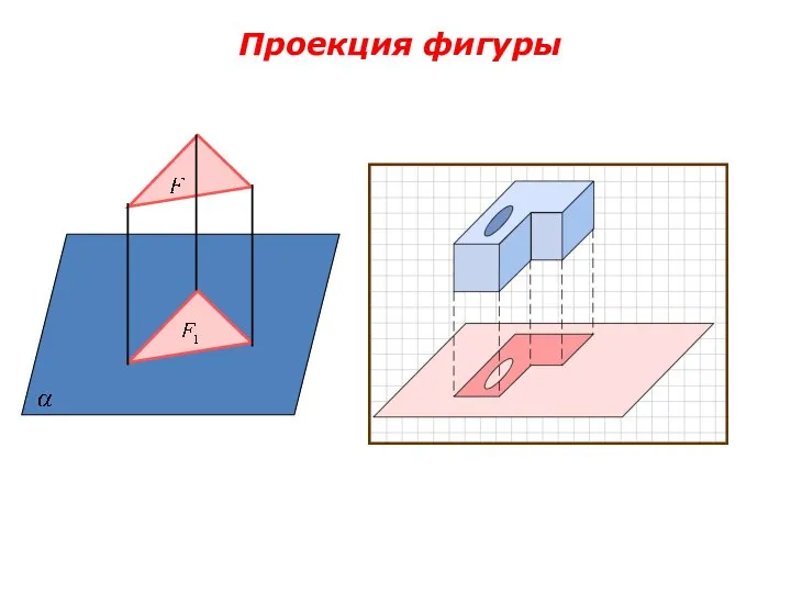 Проекция фигуры