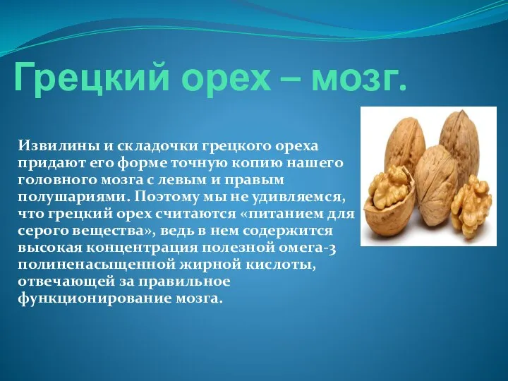 Грецкий орех – мозг. Извилины и складочки грецкого ореха придают его