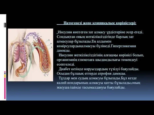 Патогенезі және клиникалық көріністері: Инсулин көптеген зат алмасу үрдістеріне әсер етеді.Сондықтан