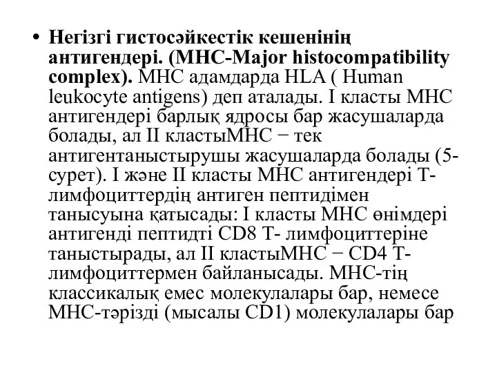 Негізгі гистосәйкестік кешенінің антигендері. (MHC-Major histocompatibility complex). МНС адамдарда HLA (