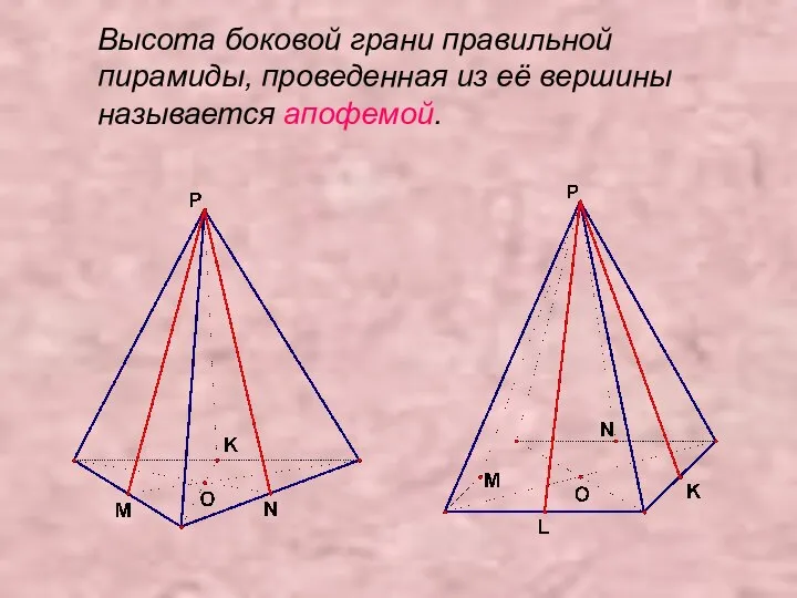 Высота боковой грани правильной пирамиды, проведенная из её вершины называется апофемой.