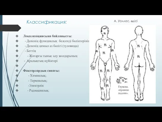 Классификация: Локализациясына байланысты: - Дененің функциялық белсенді бөліктерінің (конечностей) - Дененің