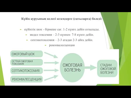 Күйік ауруының келесі кезеңдерге (сатыларға) бөледі: күйіктік шок - бірнеше сағ.