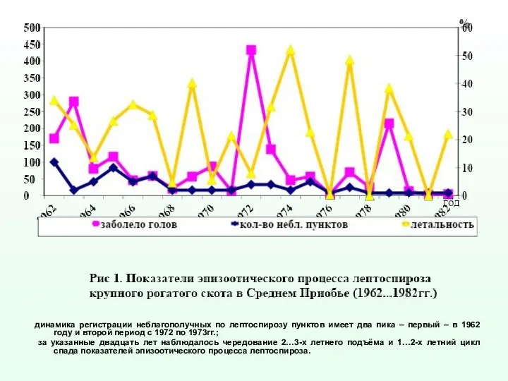 динамика регистрации неблагополучных по лептоспирозу пунктов имеет два пика – первый