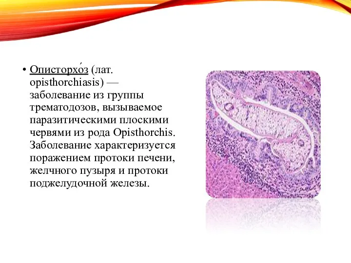 Описторхо́з (лат. opisthorchiasis) — заболевание из группы трематодозов, вызываемое паразитическими плоскими
