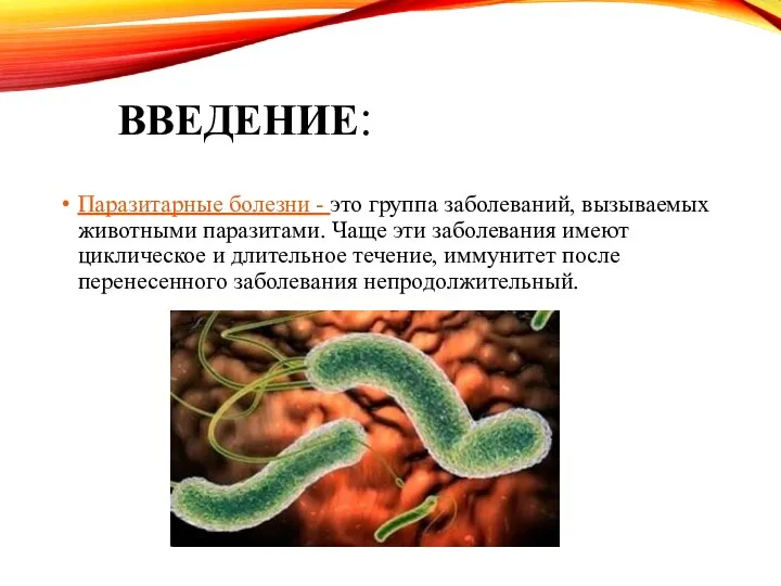 ВВЕДЕНИЕ: Паразитарные болезни - это группа заболеваний, вызываемых животными паразитами. Чаще