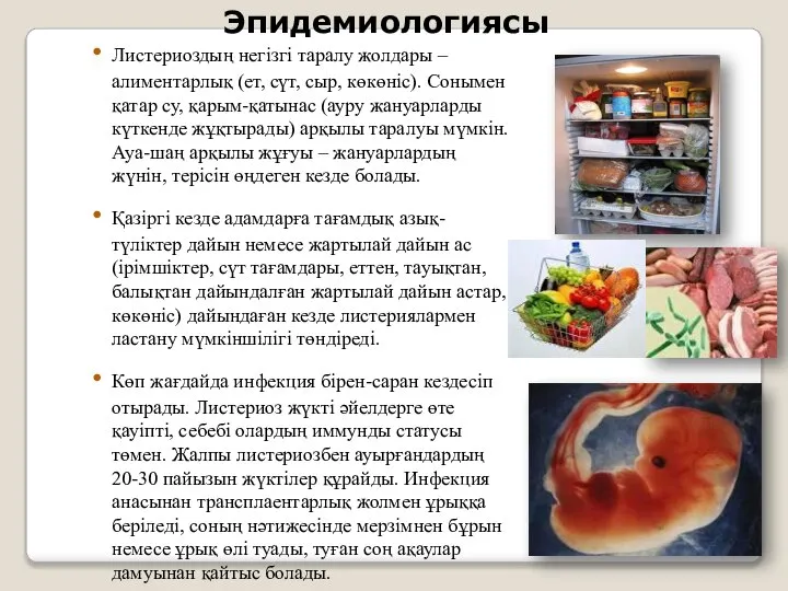 Эпидемиологиясы Листериоздың негізгі таралу жолдары – алиментарлық (ет, сүт, сыр, көкөніс).