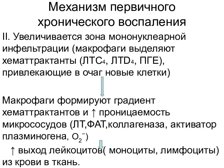 Механизм первичного хронического воспаления ΙΙ. Увеличивается зона мононуклеарной инфельтрации (макрофаги выделяют