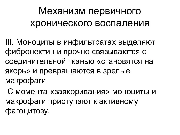 Механизм первичного хронического воспаления ΙΙΙ. Моноциты в инфильтратах выделяют фибронектин и