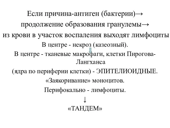 Если причина-антиген (бактерии)→ продолжение образования гранулемы→ из крови в участок воспаления