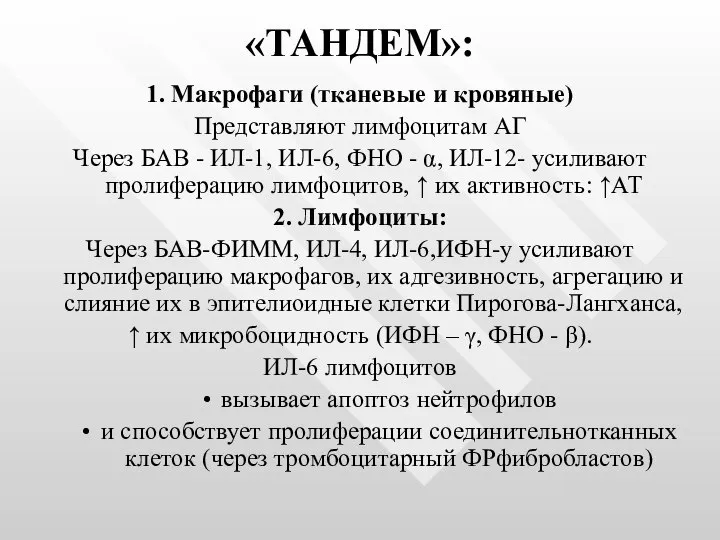 «ТАНДЕМ»: 1. Макрофаги (тканевые и кровяные) Представляют лимфоцитам АГ Через БАВ