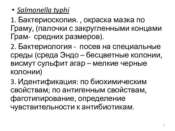 Salmonella typhi 1. Бактериоскопия. , окраска мазка по Граму, (палочки с