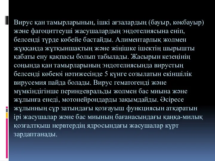 Вирус қан тамырларының, ішкі ағзалардың (бауыр, көкбауыр) және фагоциттеуші жасушалардың эндотелиясына