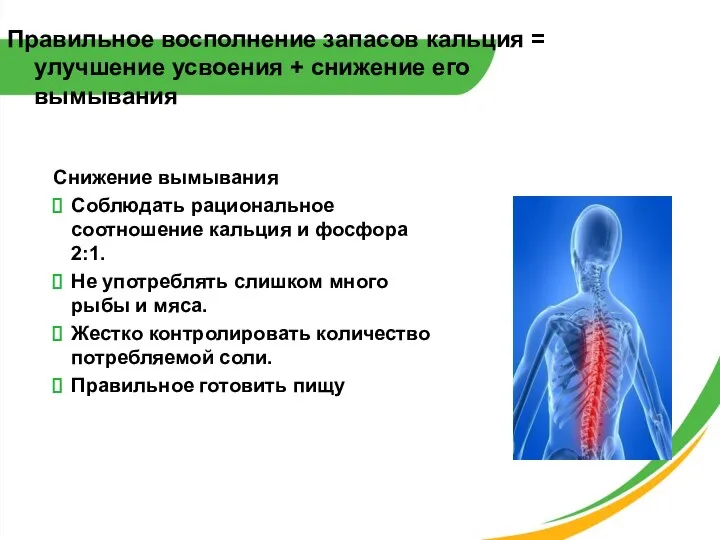 Правильное восполнение запасов кальция = улучшение усвоения + снижение его вымывания