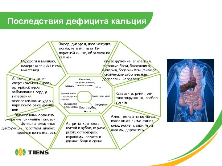 Последствия дефицита кальция Мышцы Запор, диаррея, язва желудка, астма, гепатит, язва