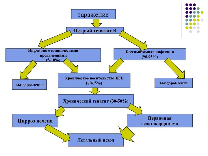 заражение Острый гепатит В Инфекция с клиническими проявлениями (5-10%) Бессимптомная инфекция