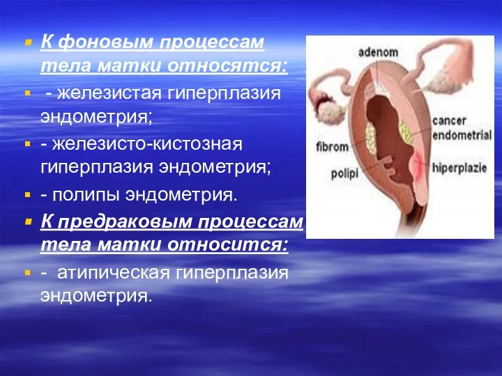 К фоновым процессам тела матки относятся: - железистая гиперплазия эндометрия; -