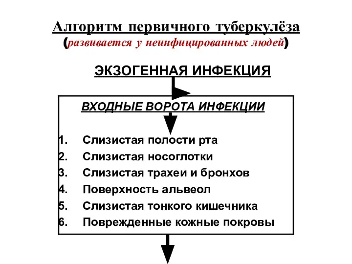 Алгоритм первичного туберкулёза (развивается у неинфицированных людей) ЭКЗОГЕННАЯ ИНФЕКЦИЯ