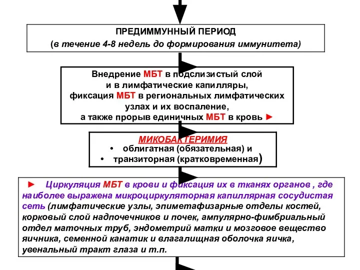 Внедрение МБТ в подслизистый слой и в лимфатические капилляры, фиксация МБТ