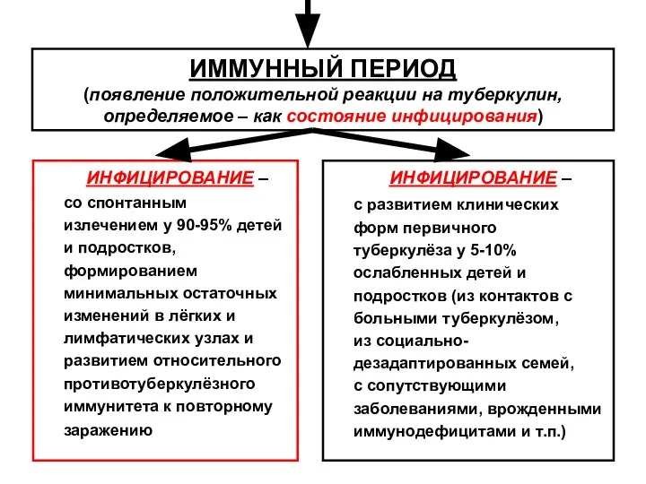 ИММУННЫЙ ПЕРИОД (появление положительной реакции на туберкулин, определяемое – как состояние