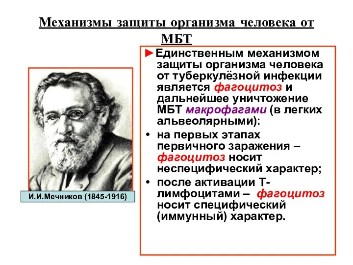 Механизмы защиты организма человека от МБТ ►Единственным механизмом защиты организма человека