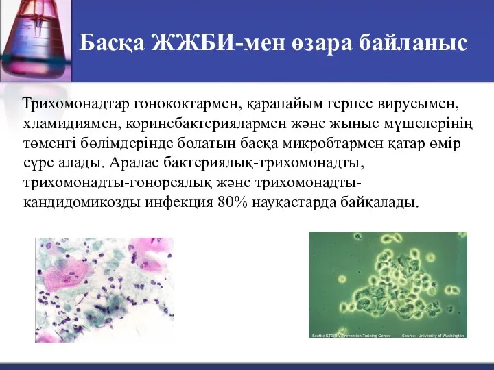 Басқа ЖЖБИ-мен өзара байланыс Трихомонадтар гонококтармен, қарапайым герпес вирусымен, хламидиямен, коринебактериялармен