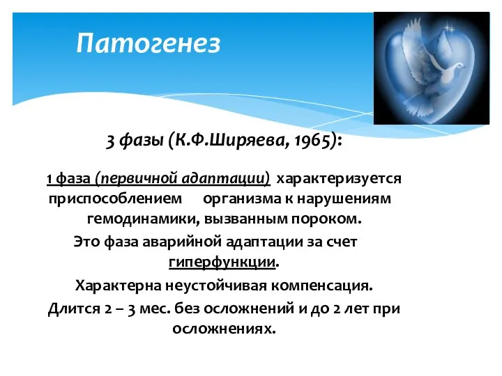 3 фазы (К.Ф.Ширяева, 1965): 1 фаза (первичной адаптации) характеризуется приспособлением организма