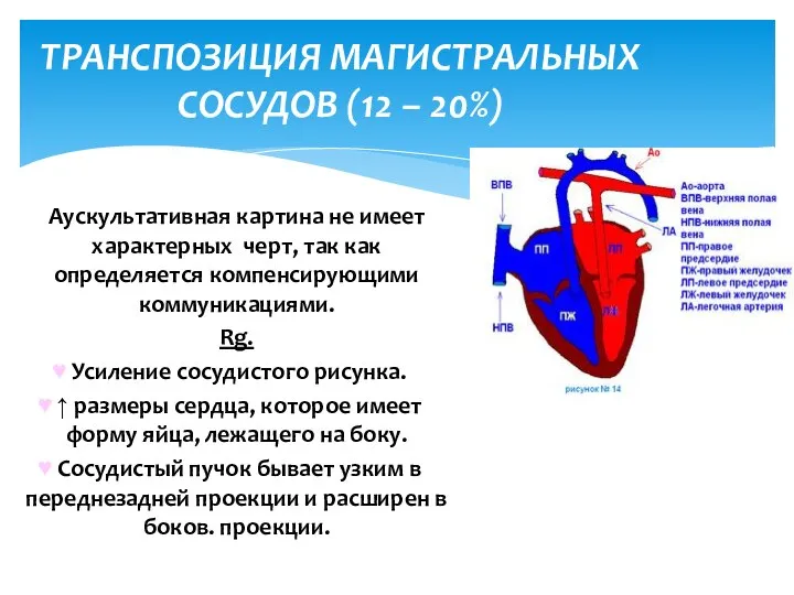 Аускультативная картина не имеет характерных черт, так как определяется компенсирующими коммуникациями.