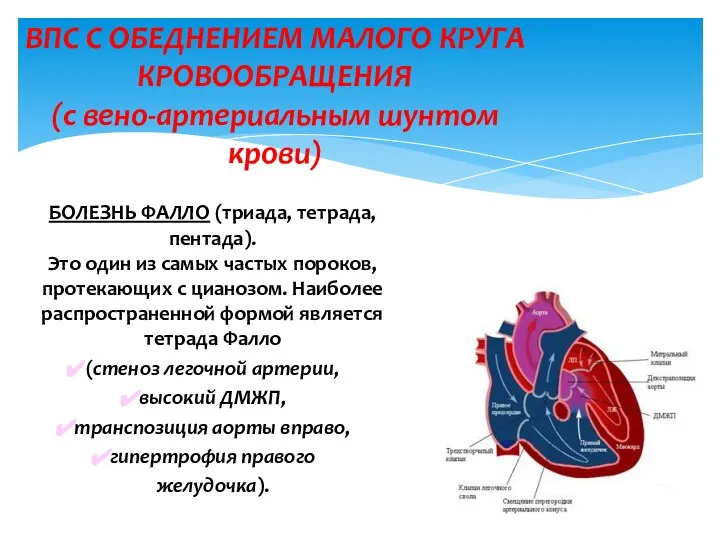 БОЛЕЗНЬ ФАЛЛО (триада, тетрада, пентада). Это один из самых частых пороков,