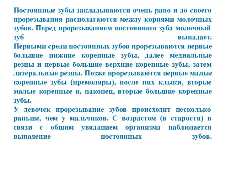 Постоянные зубы закладываются очень рано и до своего прорезывания располагаются между