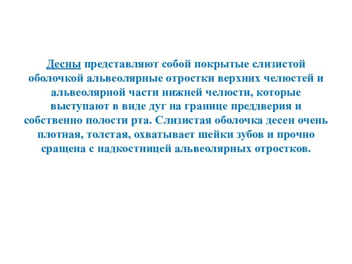 Десны представляют собой покрытые слизистой оболочкой альвеолярные отростки верхних челюстей и