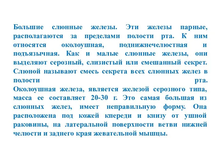 Большие слюнные железы. Эти железы парные, располагаются за пределами полости рта.