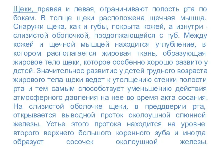 Щеки, правая и левая, ограничивают полость рта по бокам. В толще