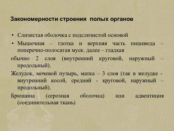 Закономерности строения полых органов Слизистая оболочка с подслизистой основой Мышечная –