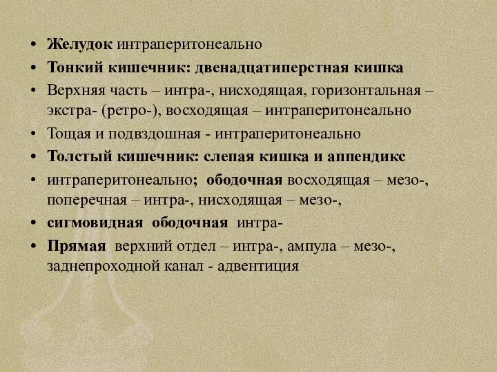 Желудок интраперитонеально Тонкий кишечник: двенадцатиперстная кишка Верхняя часть – интра-, нисходящая,