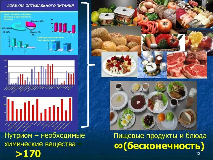 Нутриом – необходимые химические вещества – >170 Пищевые продукты и блюда ∞(бесконечность)