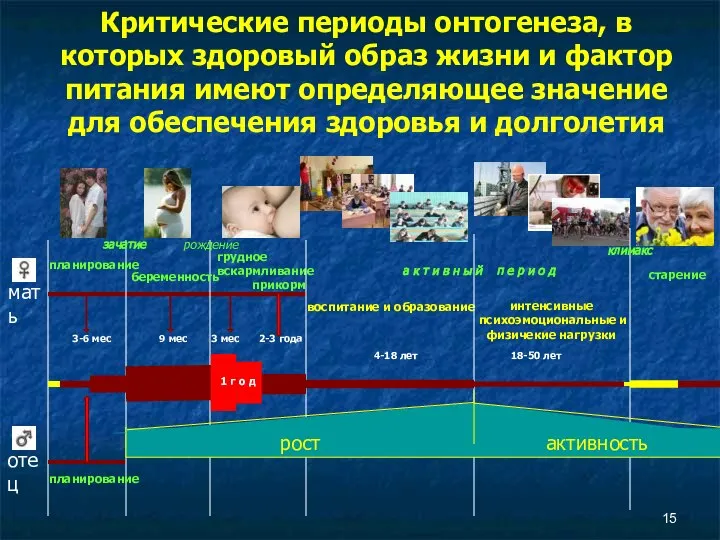 Критические периоды онтогенеза, в которых здоровый образ жизни и фактор питания