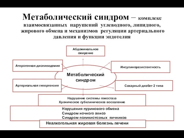 Метаболический синдром – комплекс взаимосвязанных нарушений углеводного, липидного, жирового обмена и