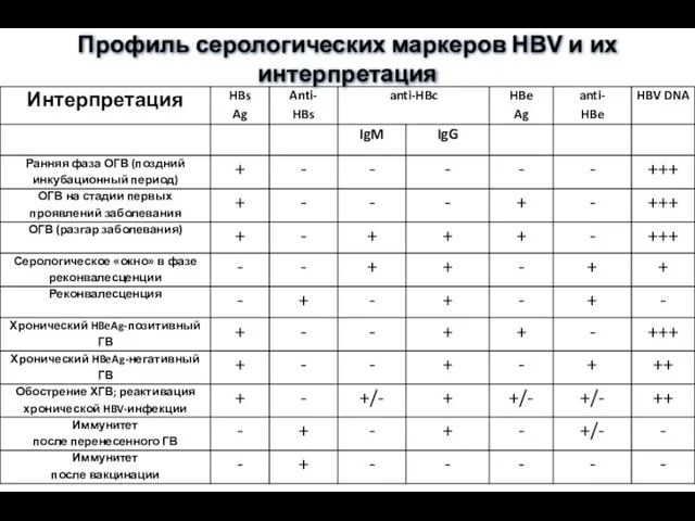 Профиль серологических маркеров HBV и их интерпретация