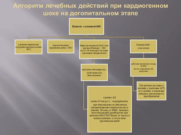 Алгоритм лечебных действий при кардиогенном шоке на догопитальном этапе