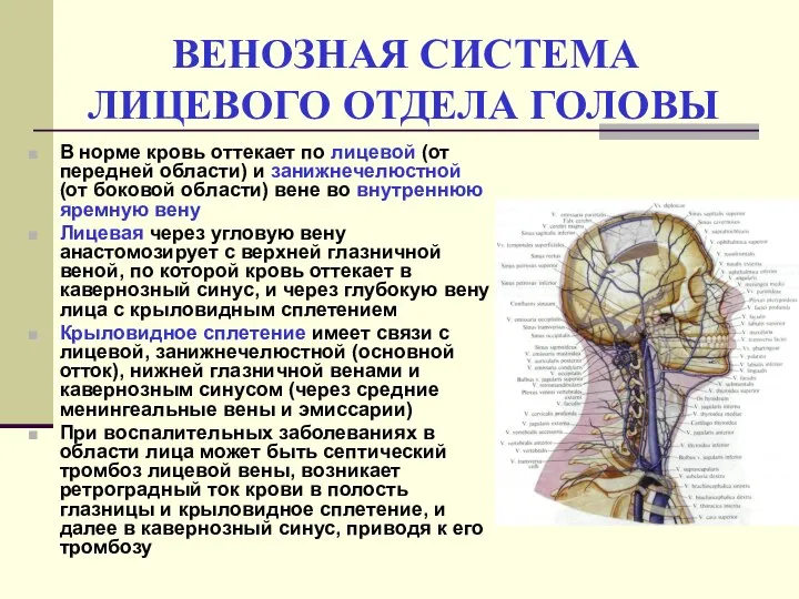 ВЕНОЗНАЯ СИСТЕМА ЛИЦЕВОГО ОТДЕЛА ГОЛОВЫ В норме кровь оттекает по лицевой