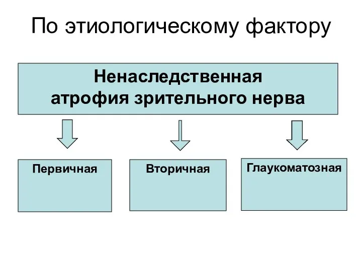 По этиологическому фактору Ненаследственная атрофия зрительного нерва Первичная Вторичная Глаукоматозная