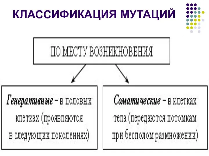 КЛАССИФИКАЦИЯ МУТАЦИЙ