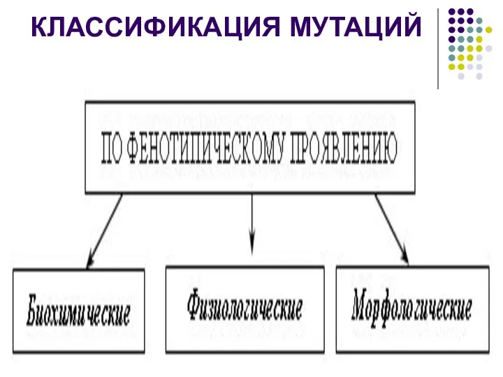 КЛАССИФИКАЦИЯ МУТАЦИЙ