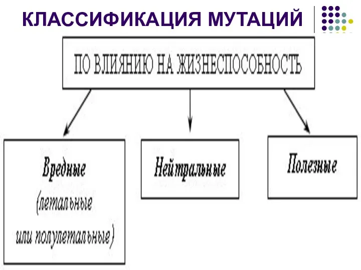 КЛАССИФИКАЦИЯ МУТАЦИЙ