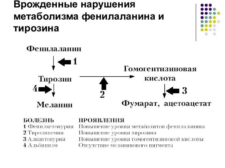 Врожденные нарушения метаболизма фенилаланина и тирозина